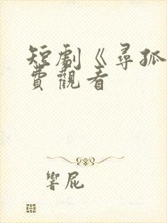 短剧《寻孤》免费观看