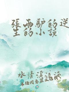 张两驴的逆袭人生的小说