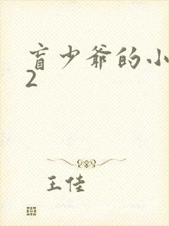 盲少爷的小女仆2