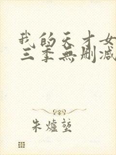 我的天才女友第三季无删减版