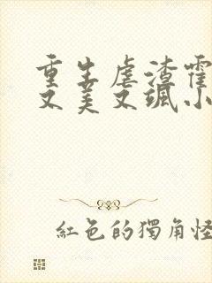 重生虐渣霍夫人又美又飒小说