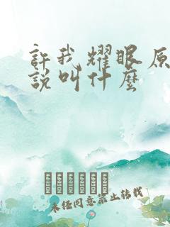 许我耀眼原著小说叫什么