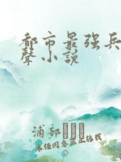 都市最强兵王有声小说