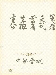 重生当天军官老公抱着我痛哭
