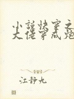 小说快穿之满级大佬穿成炮灰后