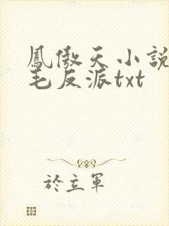 凤傲天小说里黄毛反派txt