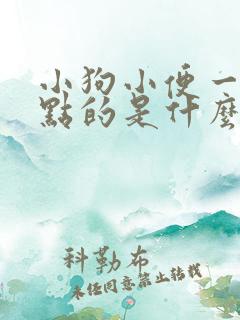 小狗小便一点一点的是什么原因