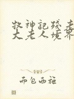 牧神记残老村九大老人境界