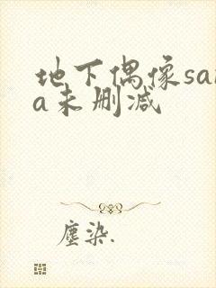 地下偶像sana未删减