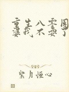 重生八零团长老婆我不耍了