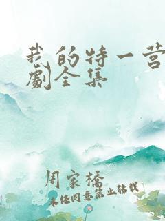 我的特一营电视剧全集