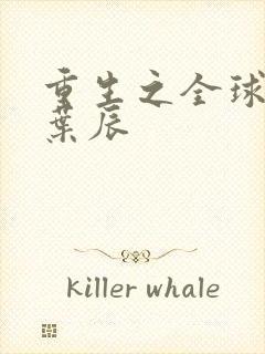 重生之全球首富叶辰