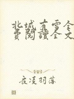 北城有雪全集免费阅读全文