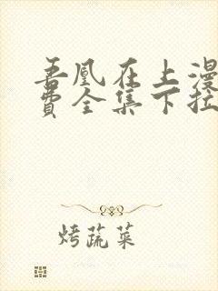 吾凰在上漫画免费全集下拉式漫画