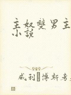 主奴双男主推荐小说