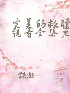 完美的救赎在线观看全集免费播放