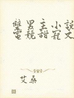 双男主小说推荐电竞甜宠文