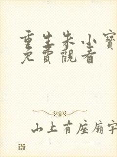 重生朱小宝全集免费观看