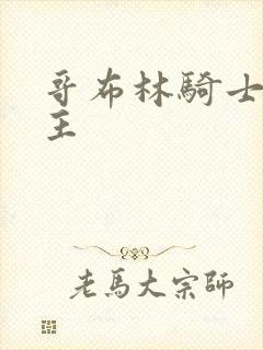 哥布林骑士和男主