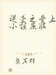 逆袭之爱上情敌小说原版