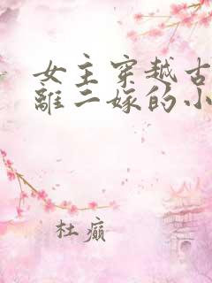 女主穿越古代和离二嫁的小说