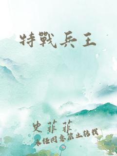 特战兵王