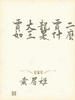 贾大龙贾二虎温如玉是什么小说