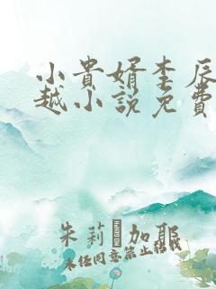 小贵婿李辰安穿越小说免费阅读