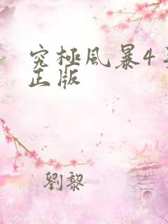 究极风暴4手机正版