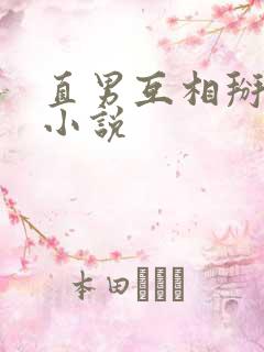 直男互相掰弯的小说