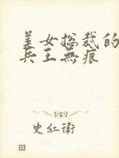 美女总裁的贴身兵王无痕