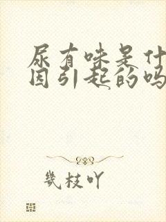 尿有味是什么原因引起的吗