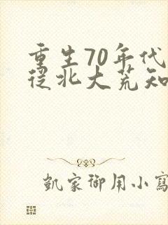 重生70年代,从北大荒知青开始