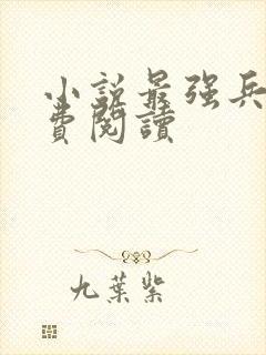 小说最强兵王免费阅读