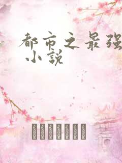 都市之最强兵王 小说