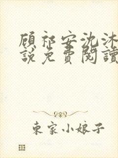 顾祁安沈沐婉小说免费阅读最新章节