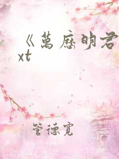 《万历明君》txt