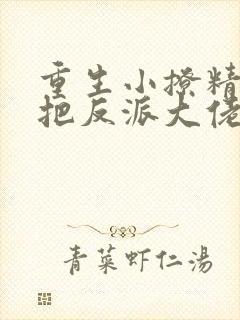 重生小撩精,我把反派大佬宠娇了