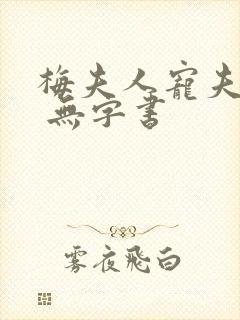 梅夫人宠夫日常 无字书