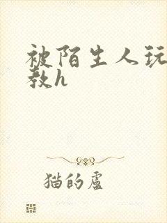 被陌生人玩弄调教h