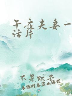 午夜夫妻一级生活片