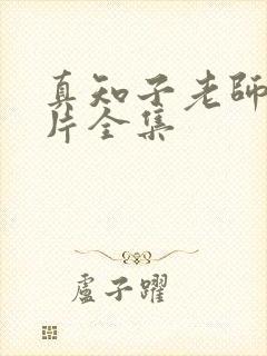 真知子老师动画片全集