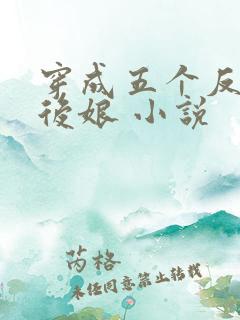穿成五个反派的后娘 小说