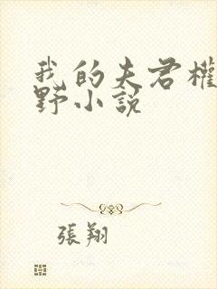 我的夫君权倾朝野小说