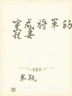 穿成将军的替嫁宠妻