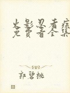 火影忍者疾风传免费看全集