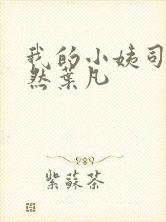 我的小姨司空嫣然叶凡