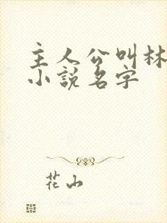 主人公叫林天的小说名字