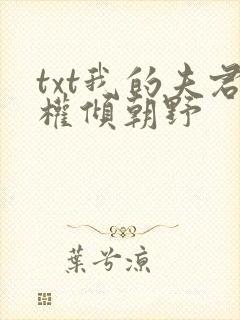 txt我的夫君权倾朝野