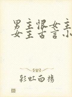 男主恨女主报复女主古言小说